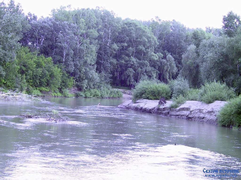 Река алей алтайский
