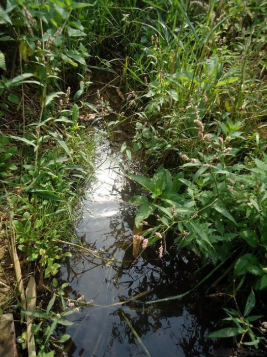 ������ ���������� ����� ��������