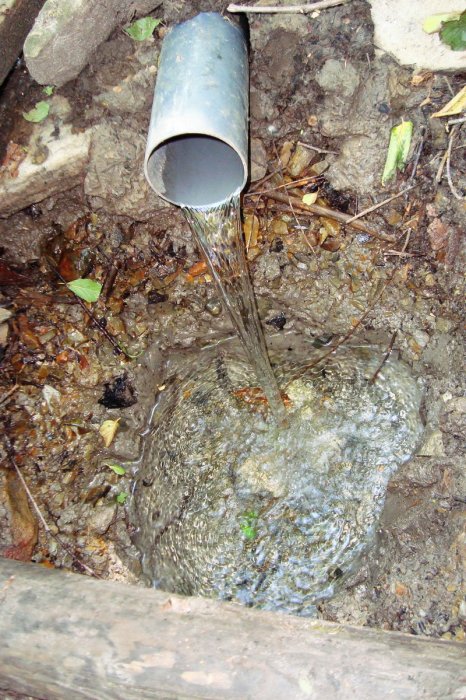 ������ ��������� � ���� ���������