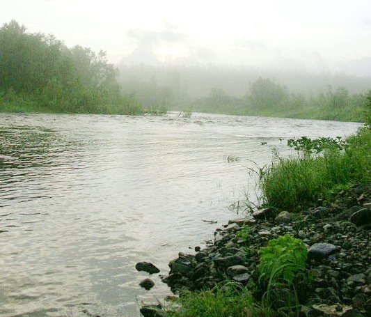 Исток реки Косьва