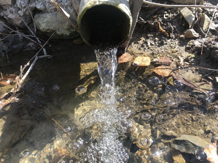 ������ ���� ���������