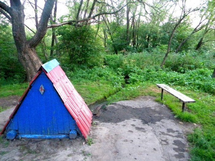 ������ ��������� ���� ����� ���������