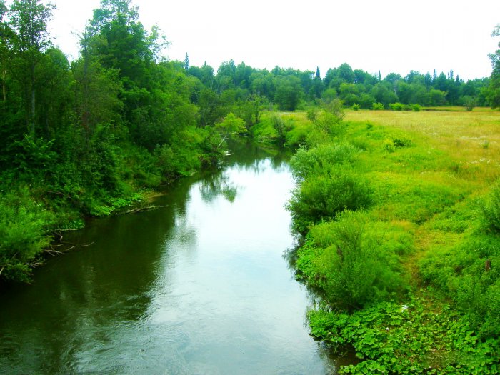Исток реки Пизь