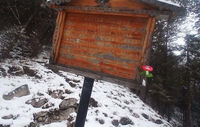 ������� ����� ������� �����