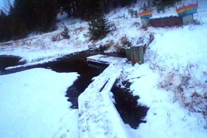 ������ ������� �����