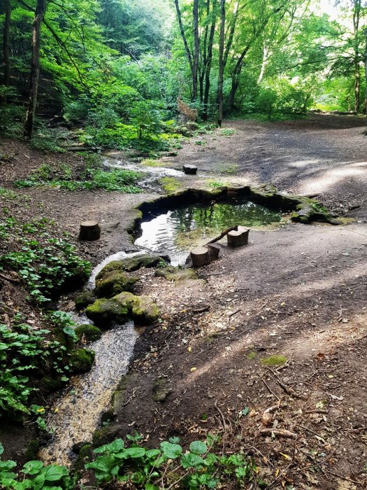 ������������� ������ ����� ����������