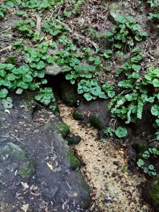 ������������� ������ ����� ����������