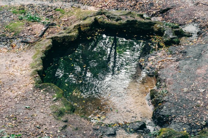 ������������� ������ ����� ����������