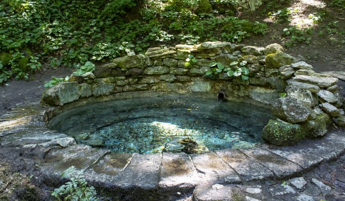 ������ ����� ����� ����������