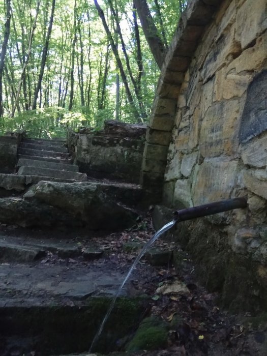 ������ �����������-3� ����� ����������