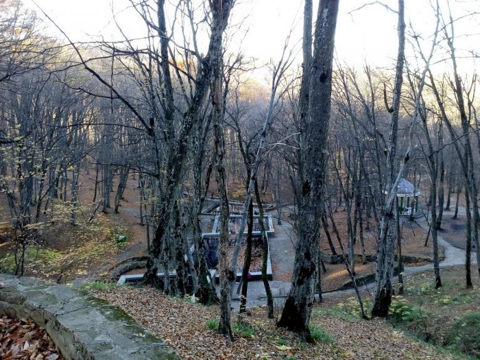 ������ �����������-1� ����� ����������