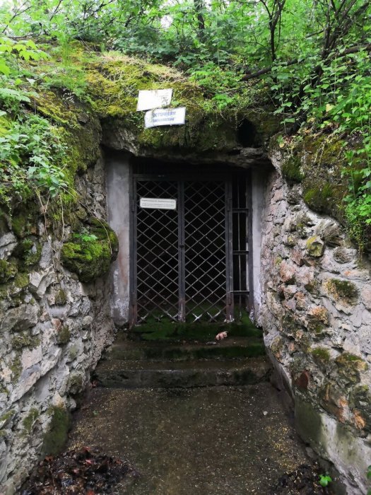 ������������� ����������� ��������� ������ ������������