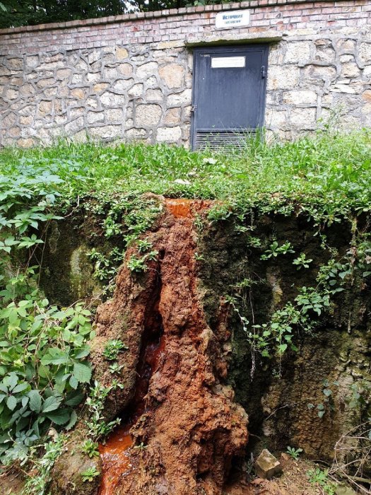 ������������� ����������� ��������� ������ ������������