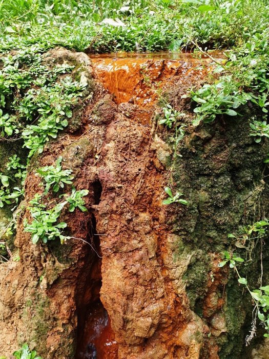 ������������� ����������� ��������� ������ ������������