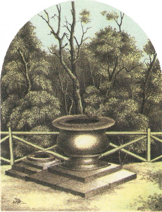 ������������� ����������� ��������� ������ ������������