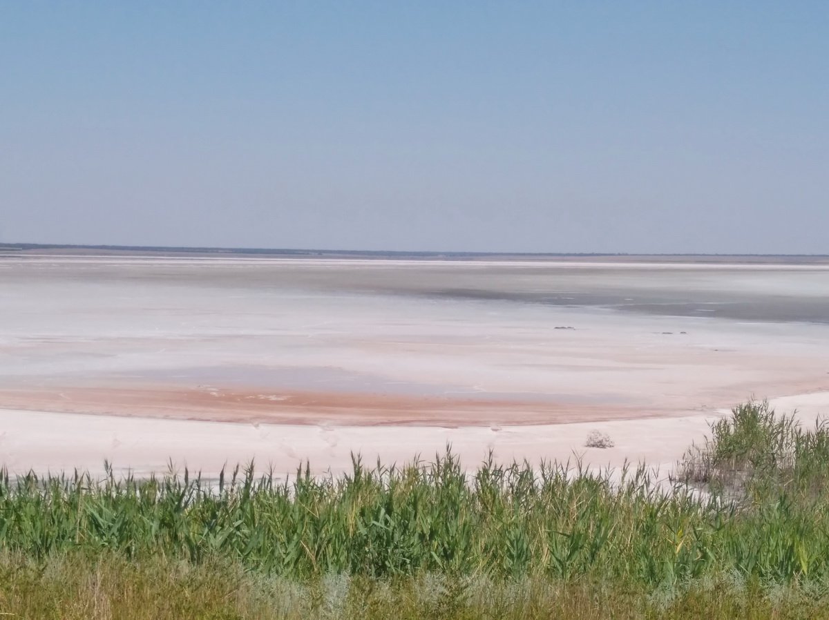 ����� ������� ����������������� �����