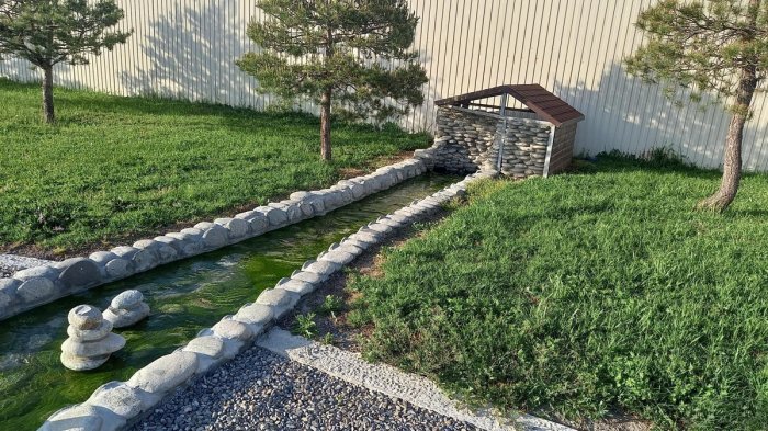 ������������� ����������� ��������, �������� � 1-� ���� ������������