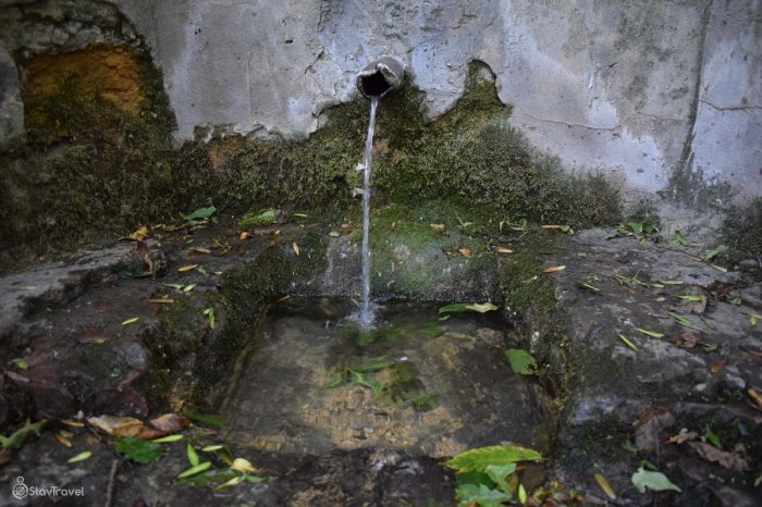 ������ ����������� � ���� ���������