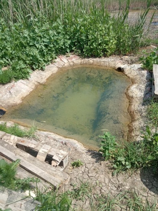 ������������� �������� � ������� �����������