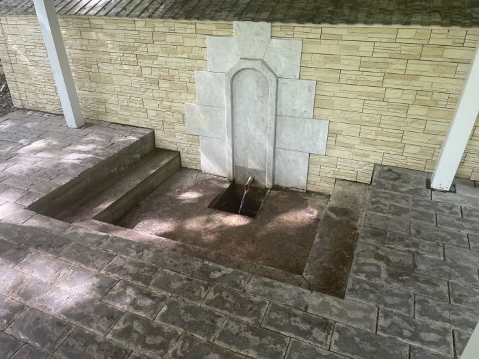 ����������� ����������� �������� �1 �������� ���� ������