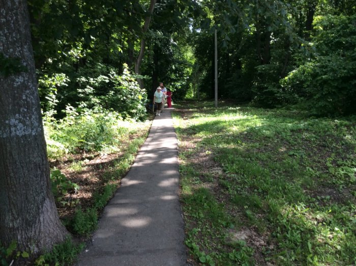 ����������� ����������� �������� �1 �������� ���� ������