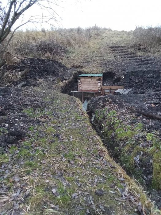 ������, ������ �������� ���� ����������